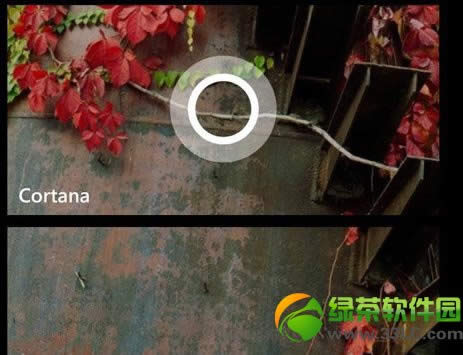 cortanaδ򿪣wp8.1 cortana򿪰취