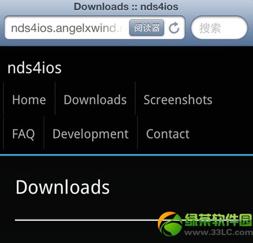 nds4ios闪退怎么办?nds4ios模拟器黑白闪退解决方法1