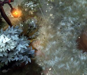 DOTA2���ֿ���:����Щ���ȵĻ���������