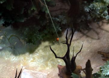 DOTA2���ֿ���:����Щ���ȵĻ���������