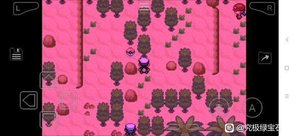 �ڴ����־����̱�ʯ5.5�����߼��ܻ�ȡ�ص�_��վ