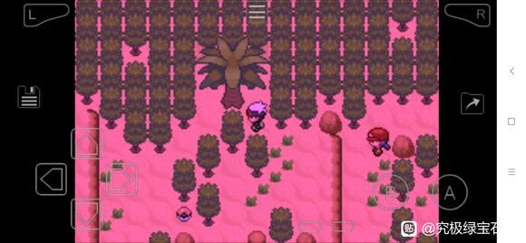 �ڴ����־����̱�ʯ5.5�����߼��ܻ�ȡ�ص�_��վ