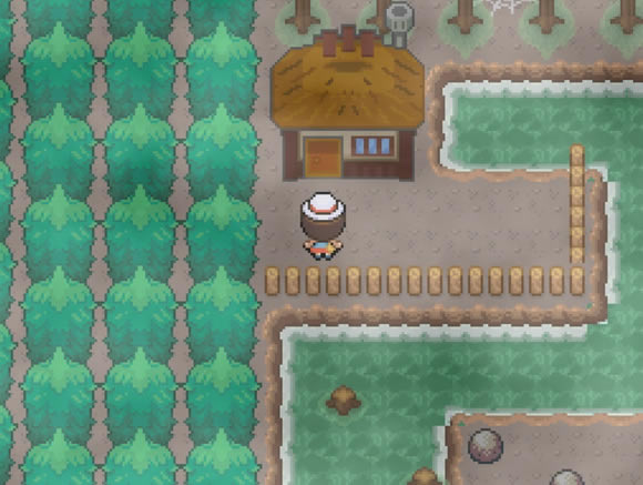 �����������ں�5.0����Q��׽�ص� ����Q��ʲô�ط�ץ