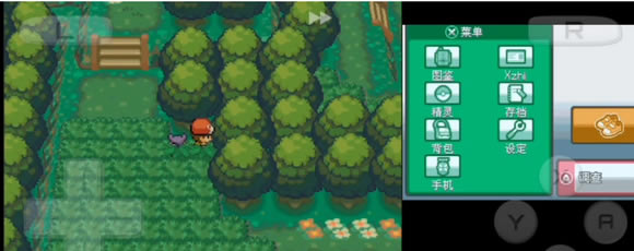 �ڴ�������Դ�Ľ���ɭ��Ϳ���۹�������