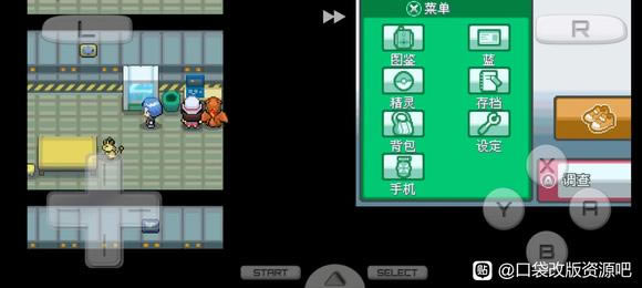 �ڴ�������Դ�Ľ�è�ϴ�ʯ��������� ʯ��������ʲô