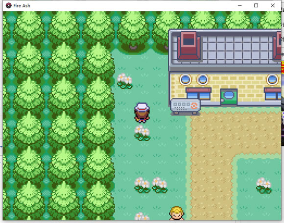 �ڴ�����ȼ֮�ǽݿ���ķ��׽�ص� �ݿ���ķ��ʲô�ط�ץ