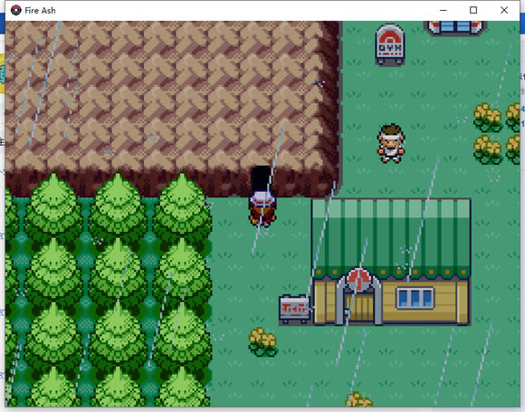 �ڴ�����ȼ֮������ķ��ʲô�ط�ץ ����ķ��׽�ص�