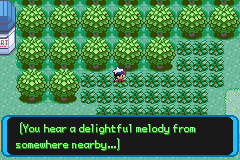 �ڴ�������ǿ�̱�ʯ����Ү�����ַ�������׽λ��