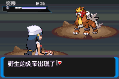 �ڴ�������ǿ�̱�ʯ�׵۲�׽�ص�_��վ