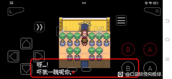 �ڴ����־����̱�ʯ5.3�ȿ���������ץ �ȿ�����λ��һ��_��վ