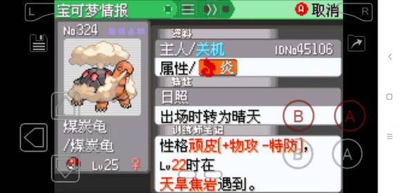 �ڴ����־����̱�ʯ5.3һ��Ŀ��������ѡ���Ƽ�