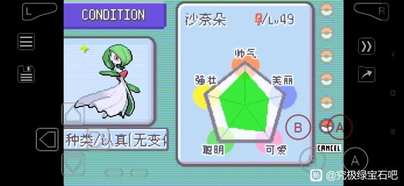 �ڴ����־����̱�ʯ5.3���������������� 100%ͨ������_��վ