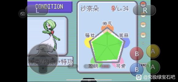 �ڴ����־����̱�ʯ5.3�������� ������������_��վ