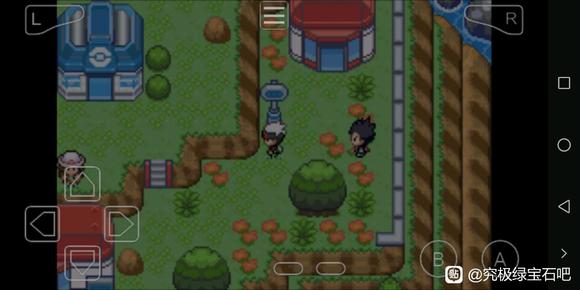 �ڴ����־����̱�ʯ5С��Ƥ����ȡ�÷���