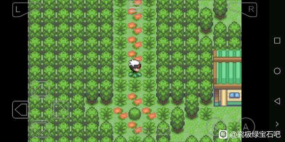 �ڴ����־����̱�ʯ5�׺����ܻ�ȡ���� С����������_��վ