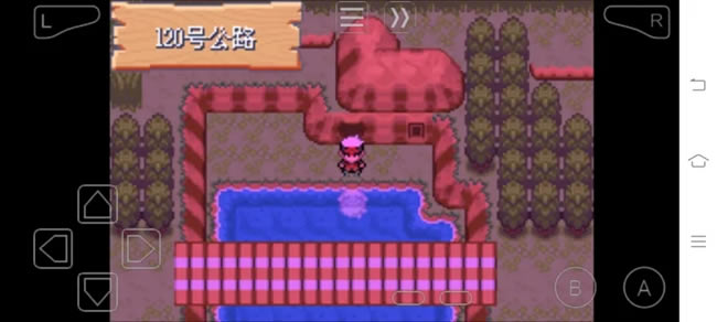 �ڴ����־����̱�ʯ5�ο������겶׽��������_��վ