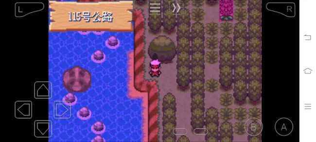 �ڴ����־����̱�ʯ5�ο������겶׽��������_��վ