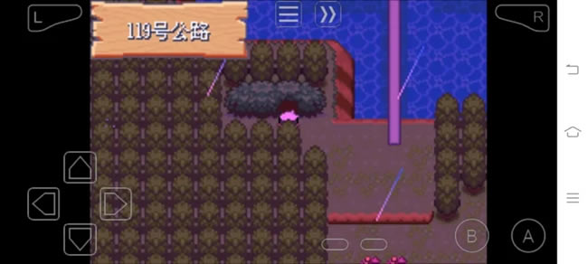 �ڴ����־����̱�ʯ5�ο������겶׽��������_��վ