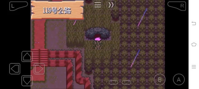 �ڴ����־����̱�ʯ5�ο������겶׽��������_��վ