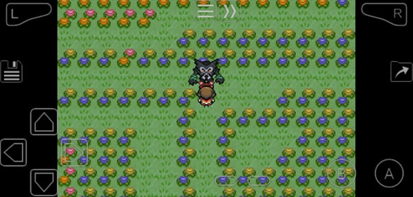 �ڴ����־����̱�ʯ5��¾�²�׽���� ��¾����ʲô�ط�ץ