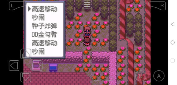 �ڴ����־����̱�ʯ5���ܽ�ѧ�ص����_��վ