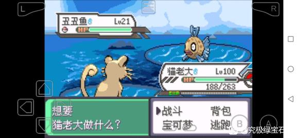 �ڴ����־����̱�ʯ5������ȡλ�� �������ʲô�ط�ץ