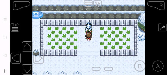 �ڴ����־����̱�ʯ5�˴����޲�׽���� 8����������_��վ