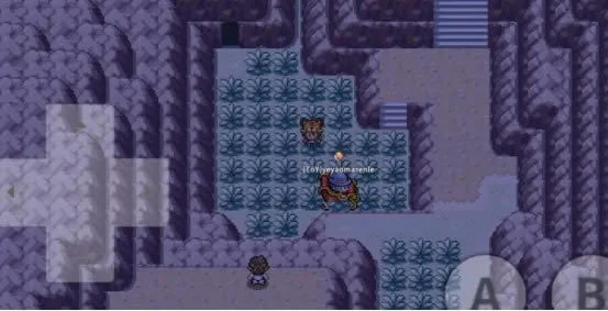 Pokemmoȫ׼׽ ׼׽λһ_վ