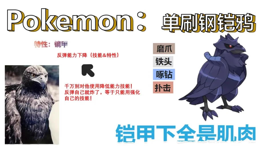 ���������ϵ�ˢ6�Ǹ���ѻ���� �������÷���_��վ