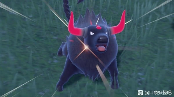 ���������ϻ���ֿ�̩��ˢ������