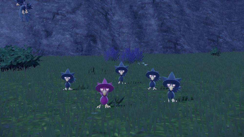 ��������������ڰ�ѻ��ˢ�ص��Ƽ�