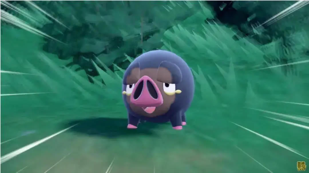 ����������Ʈ���������Ƽ� ����/˫�����з���