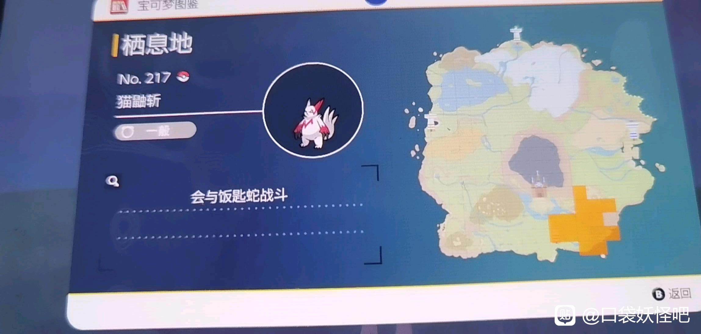 ����������è��ն��׽�ص� è��ն��ʲô�ط�ץ