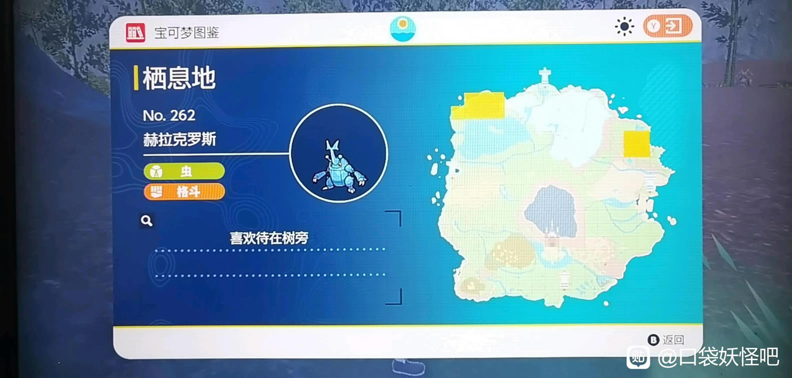 ���������Ϻ�������˹��ʲô�ط� ��������˹��׽λ��