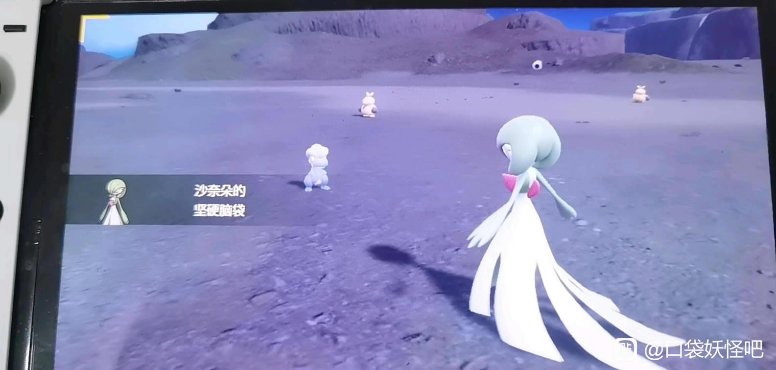 ���������ϱ�������ʲô�ط�ץ ��������׽�ص�