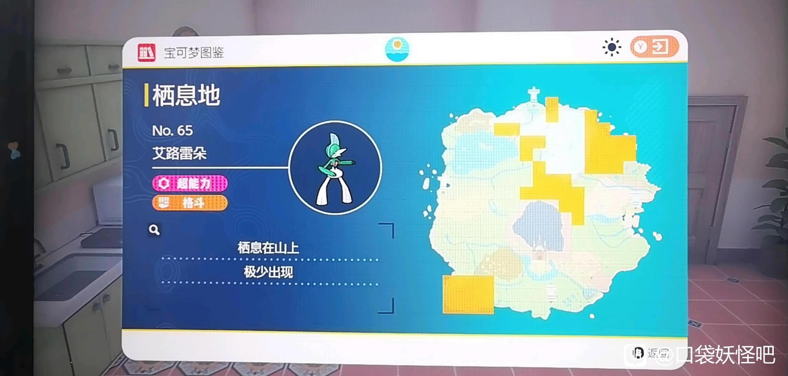 ���������ϰ�·�׶䲶׽�ص��б�