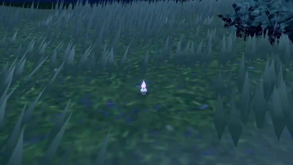 ����������Ĺ�й����ܽ��� Ĺ�й����