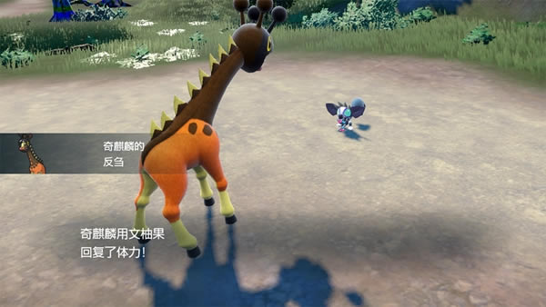 ���������������뼼�ܽ��� ��������ʲô��ʽ