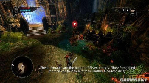 �����ǿ�_