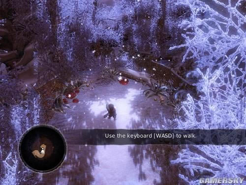 �����ǿ�_