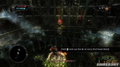 �����ǿ�_