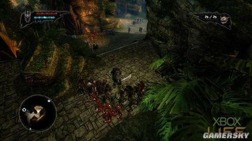 �����ǿ�_