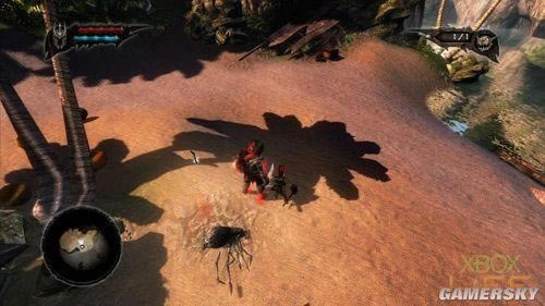 ͼ����ϸ����֩��������Ϯ1 ����2