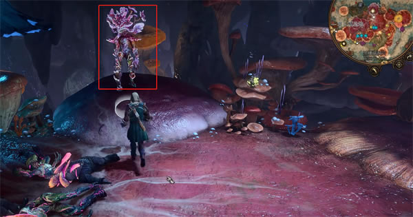 ����֮��3ަ��������λ�ü����﷽��_��վ