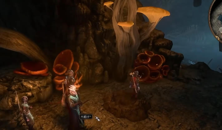 ����֮��3���˴屦���ȡ�ص� ���˴屦������_��վ