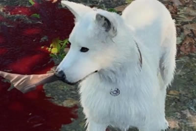 ����֮��3���Ӳ�������ΰ� ������ʧ��������