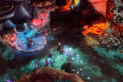 ����֮��3��ͷĢ������ȡ�õص��б�