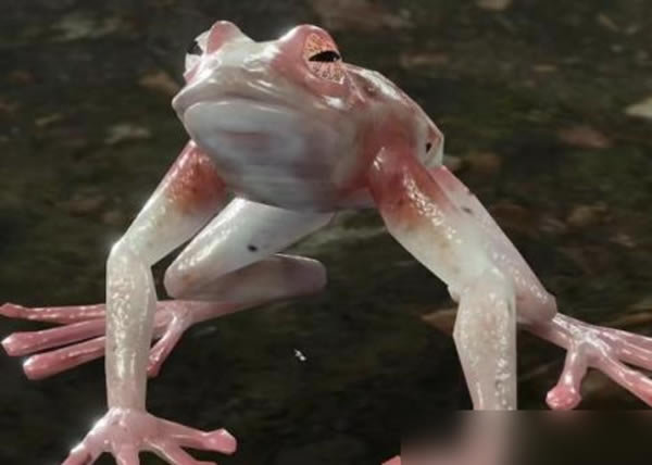 ����֮��3�����ܽ�����ȡ�������_��վ