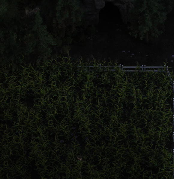 39084λ÷ ʲôط