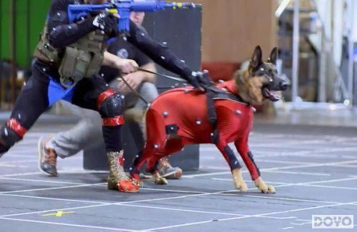 ����һ��֮����������ʶ��Ϸ�и�����С���_��վ